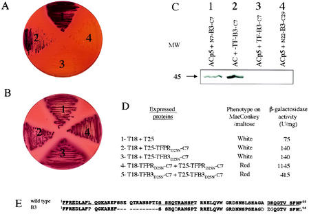 FIG. 7.