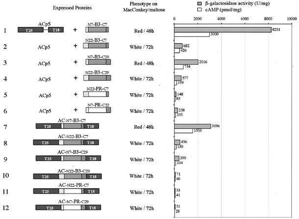 FIG. 4.