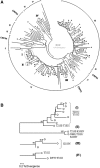 <b>FIG. 1.</b>