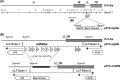 FIG 1