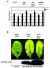 Figure 7.