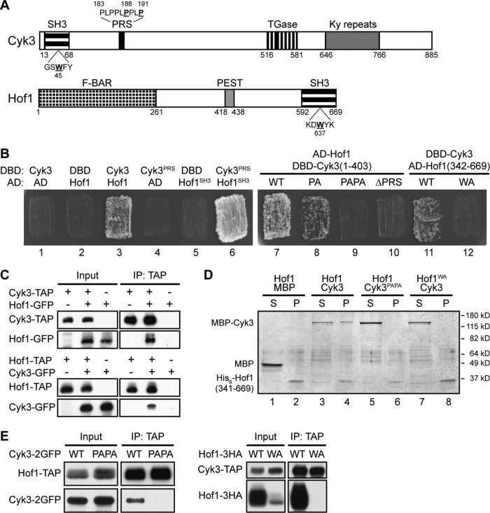 FIGURE 1: