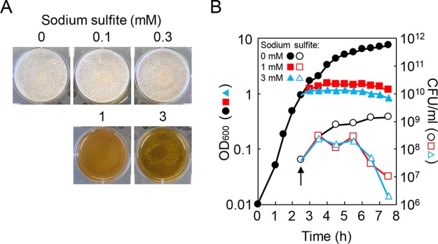 FIG 3