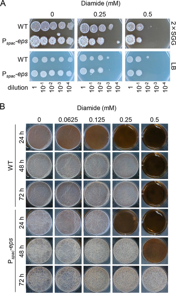 FIG 6