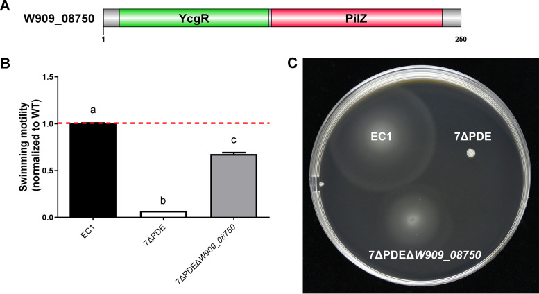 FIG 10