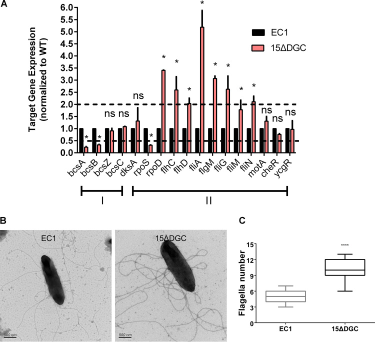 FIG 3