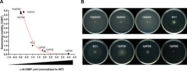 FIG 7