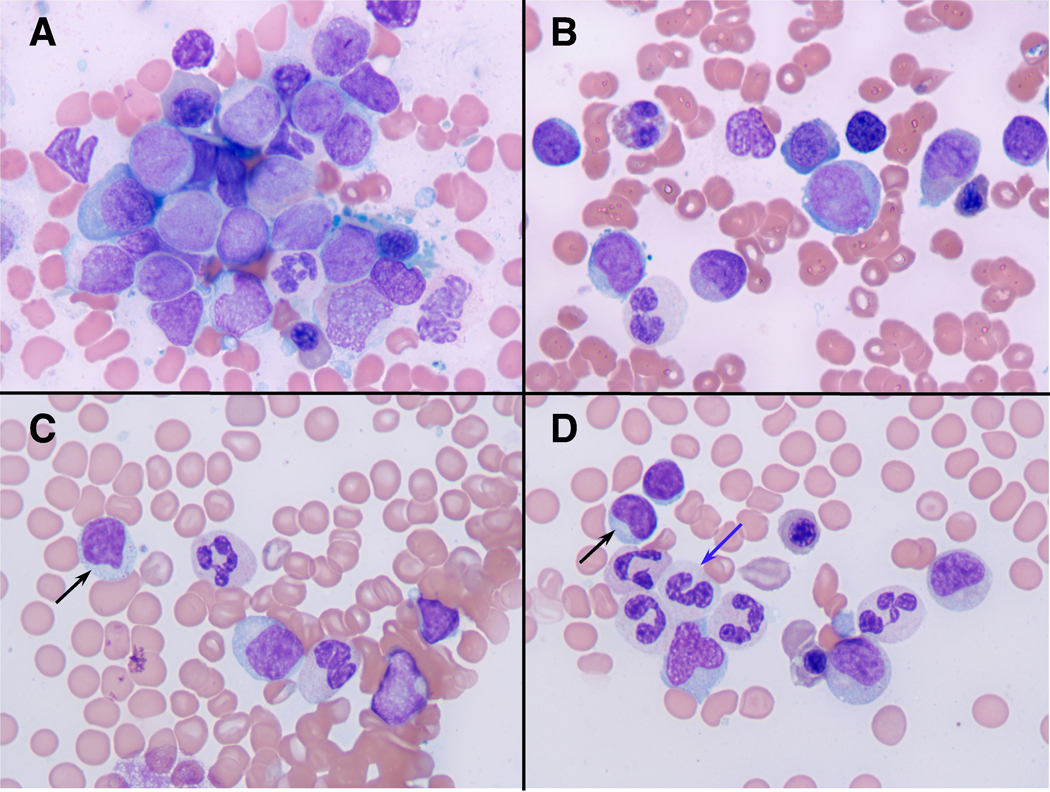 Figure 1: