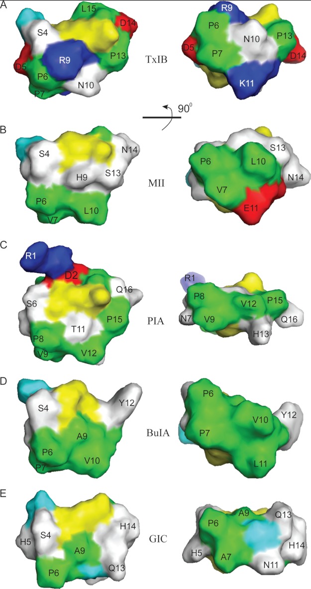 FIGURE 6.