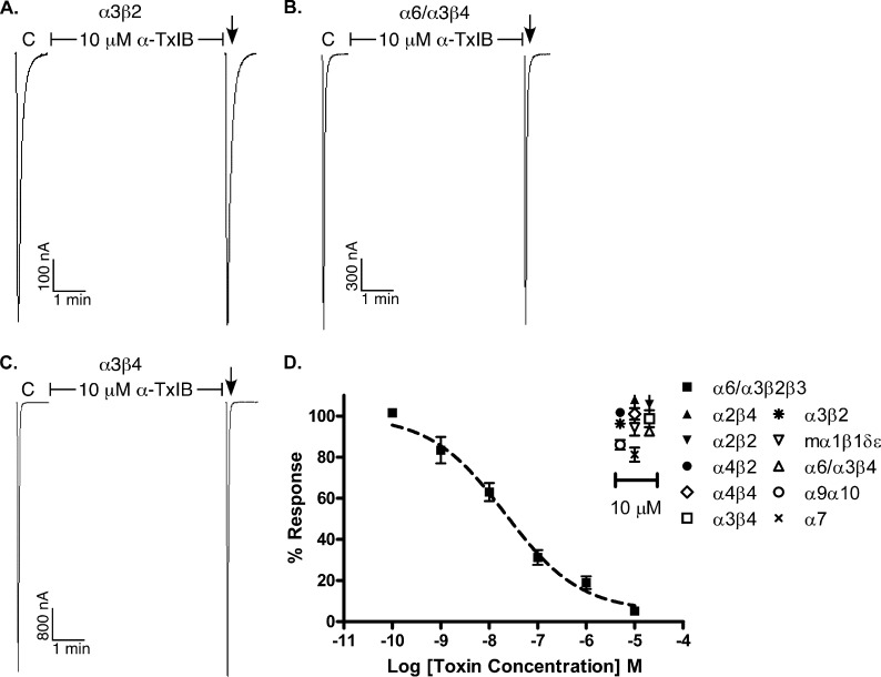 FIGURE 4.