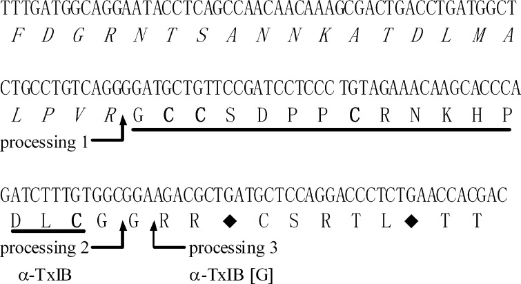 FIGURE 1.