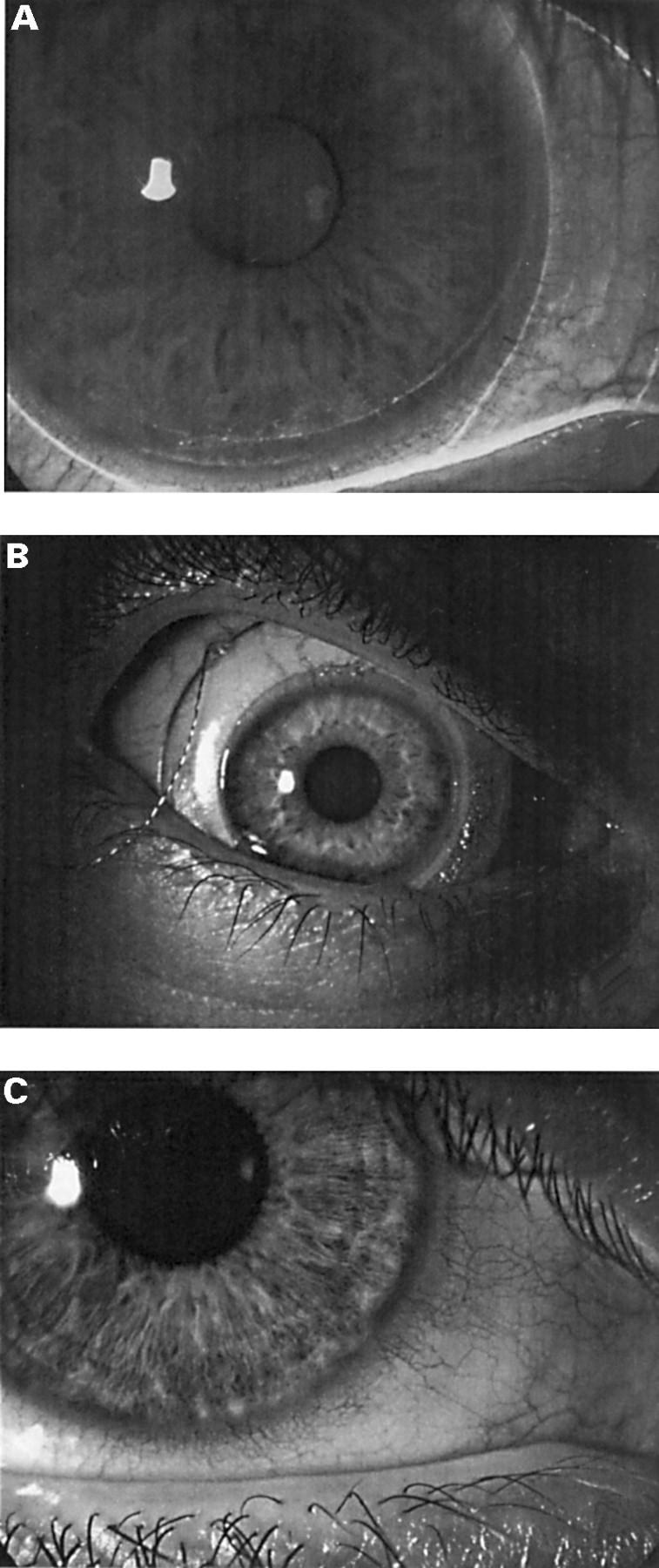 Figure 5  