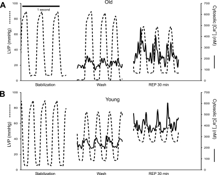 Fig. 2.