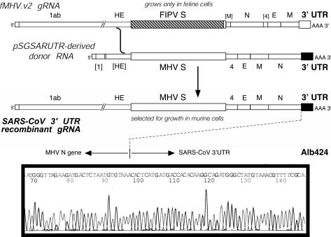 FIG. 2.