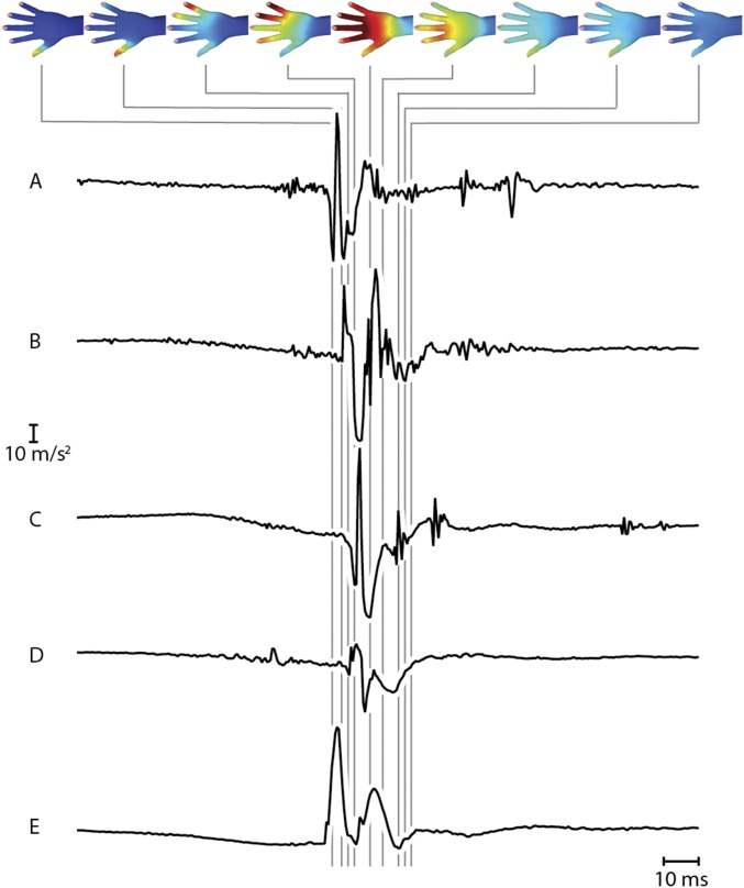 Fig. S1.