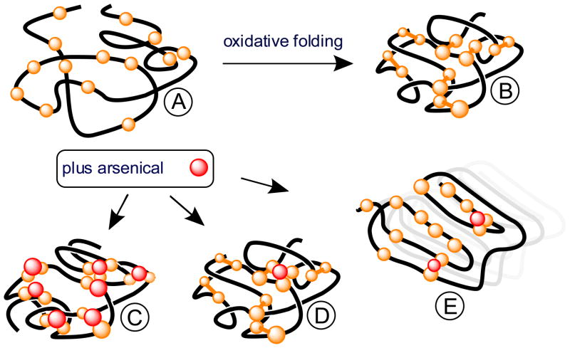 FIGURE 8