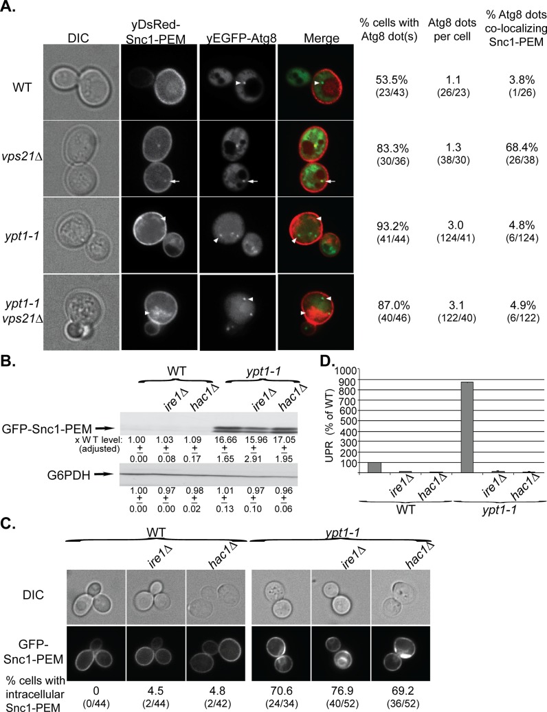 Fig 4