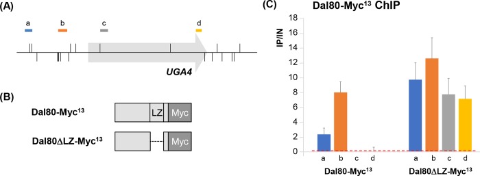 Fig 6