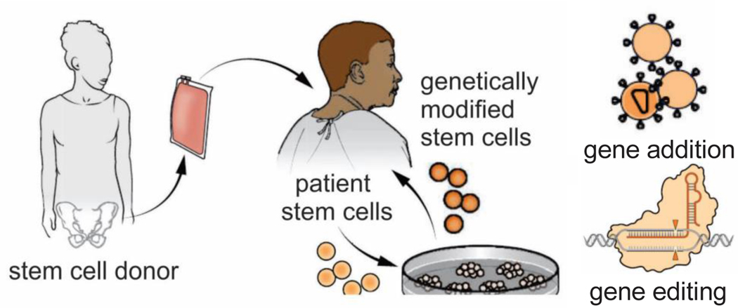 Figure 10.