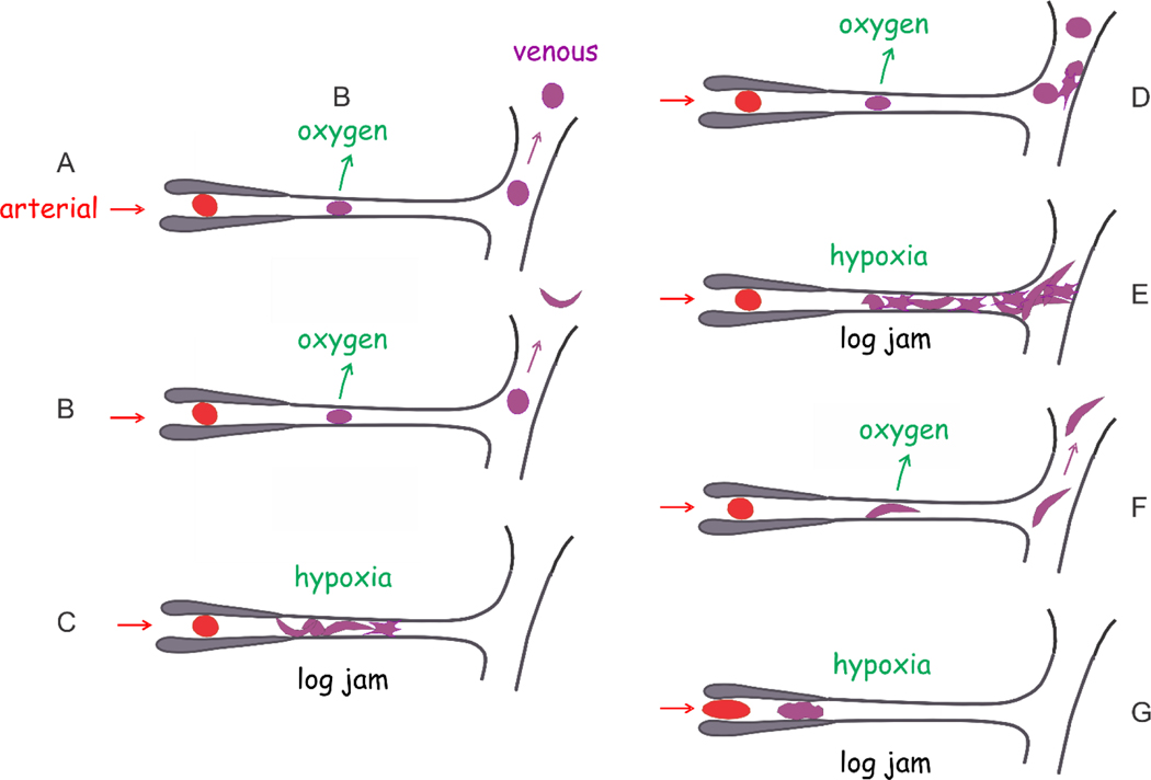 Figure 9.