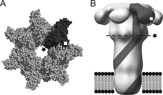 FIGURE 1.