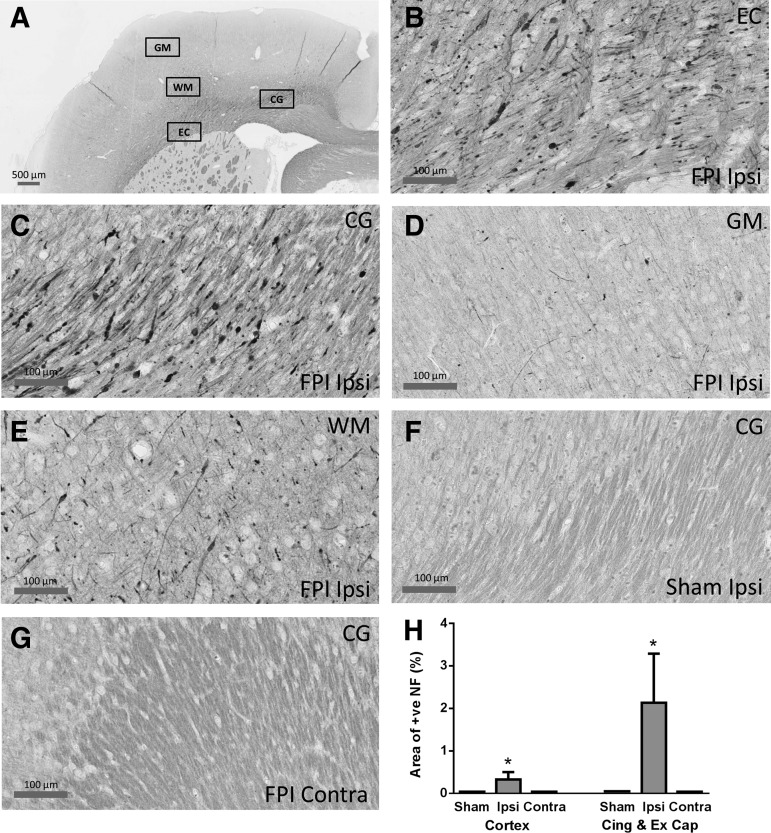 FIG. 8.