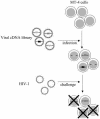 FIG. 2.