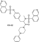 graphic file with name fsoa-03-204-T1c.gif