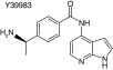 graphic file with name fsoa-03-204-T2f.gif