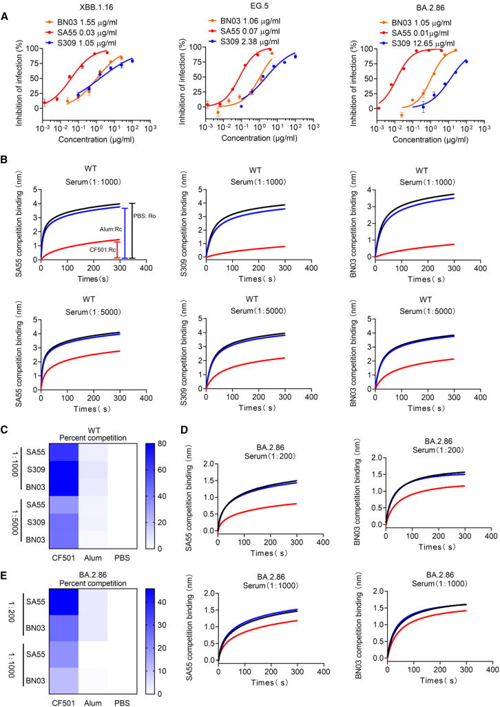 Figure 4