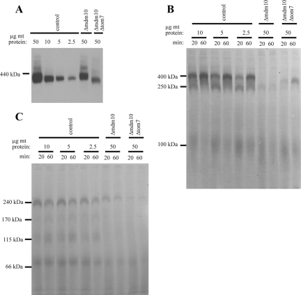 Figure 5.