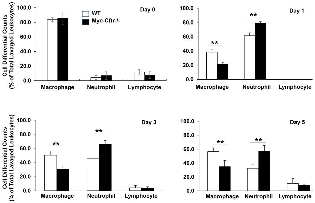 Figure 2 –