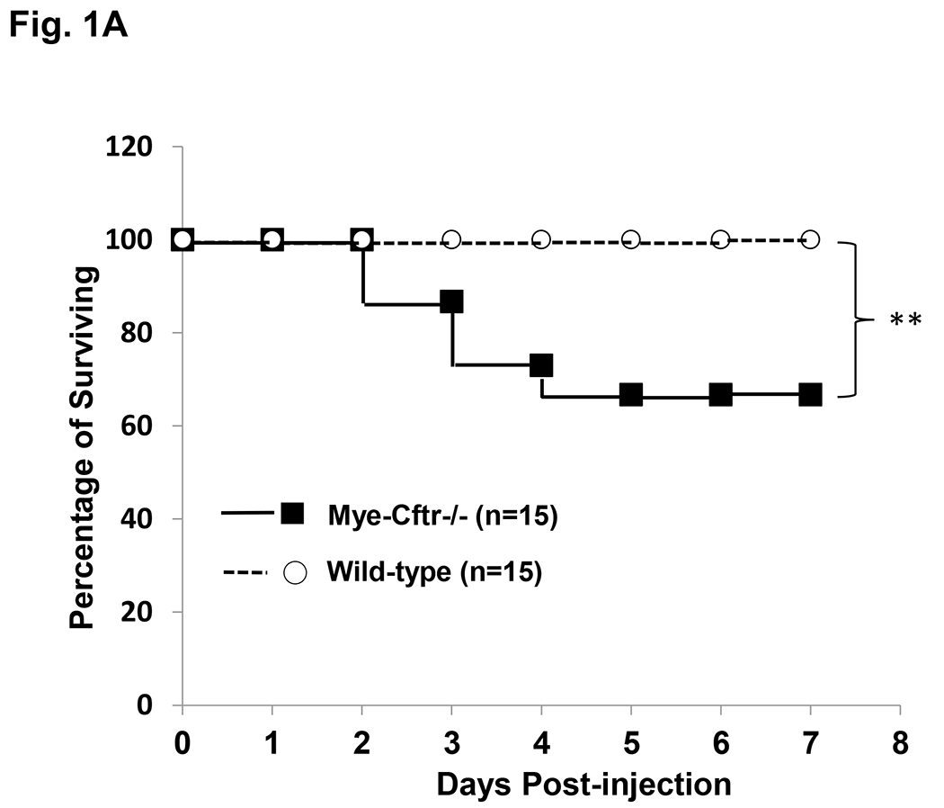 Figure 1 –