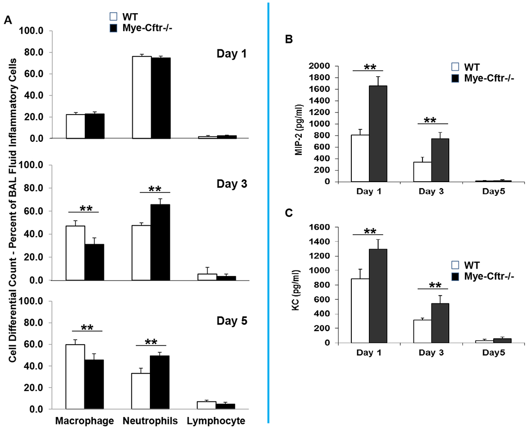 Figure 4 -