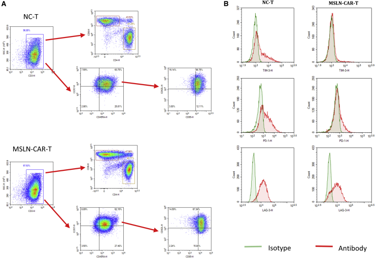 Figure 3