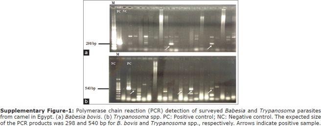 Supplementary Figure-1