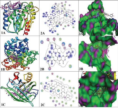 Figure 13