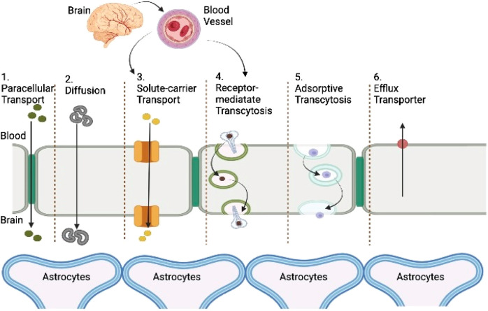 FIGURE 3