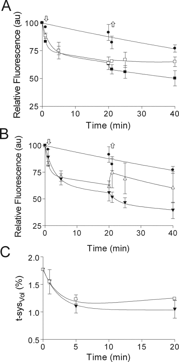 Figure 11. 