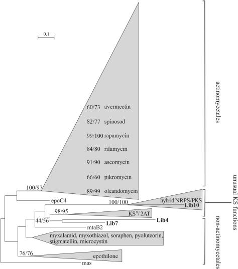 FIG. 1.