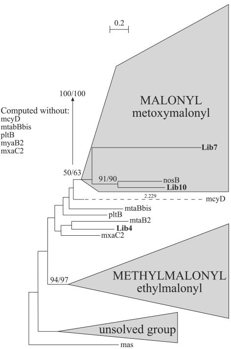 FIG. 2.