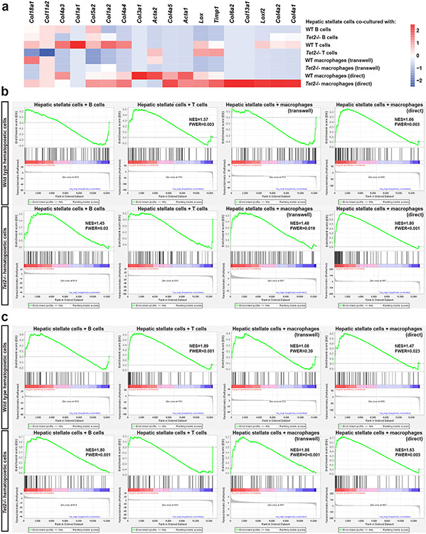 Extended Data Fig. 8