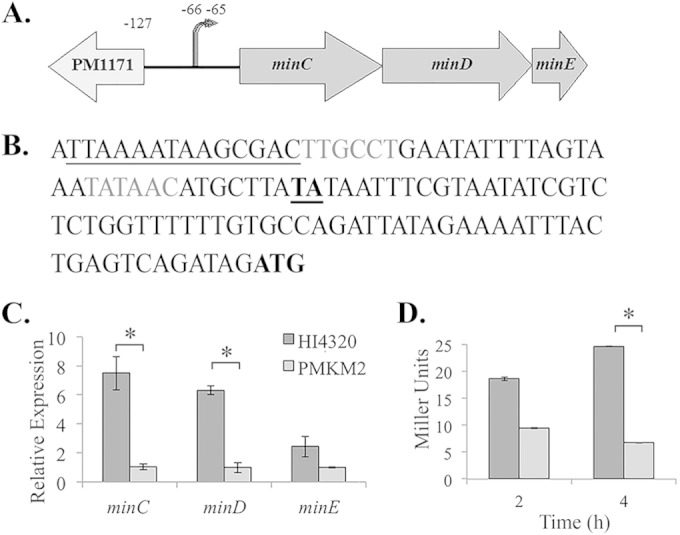 FIG 1