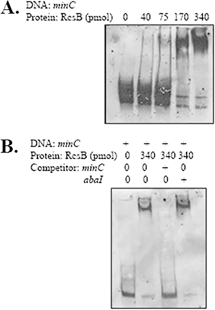 FIG 2