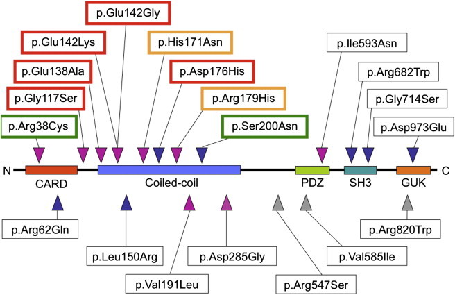 Figure 1