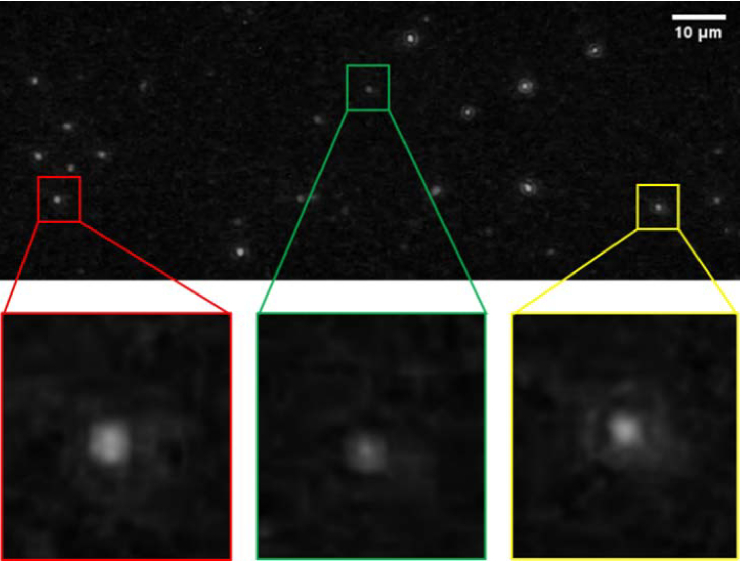 Fig. 4.