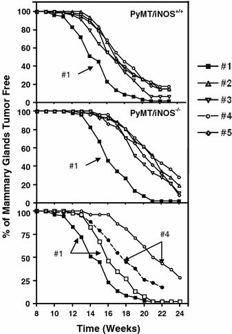 Fig. 5