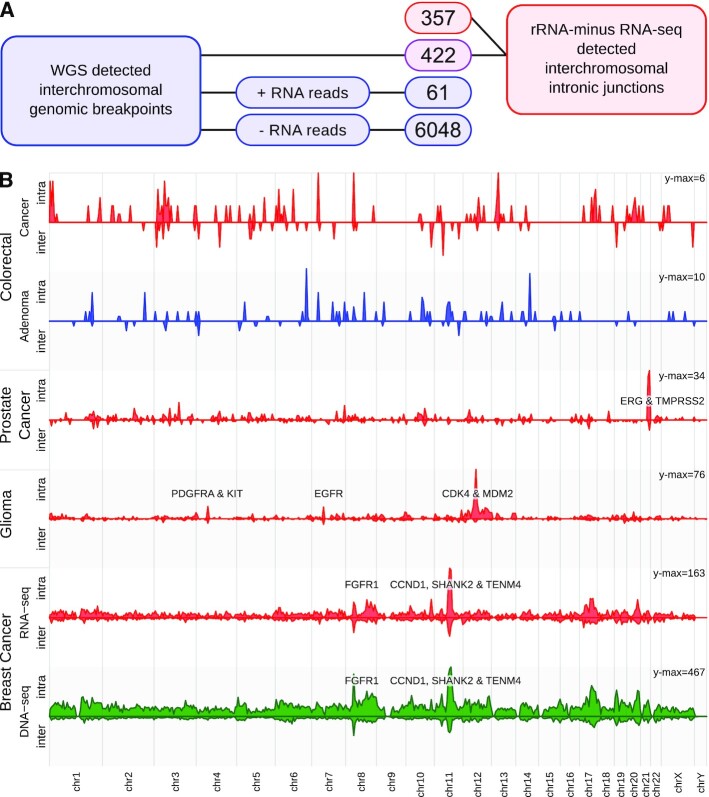 Figure 4: