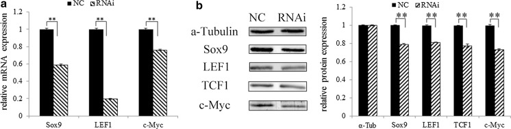 Fig. 6