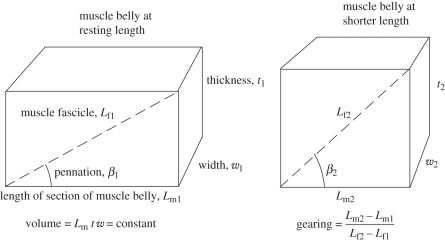 Figure 1.